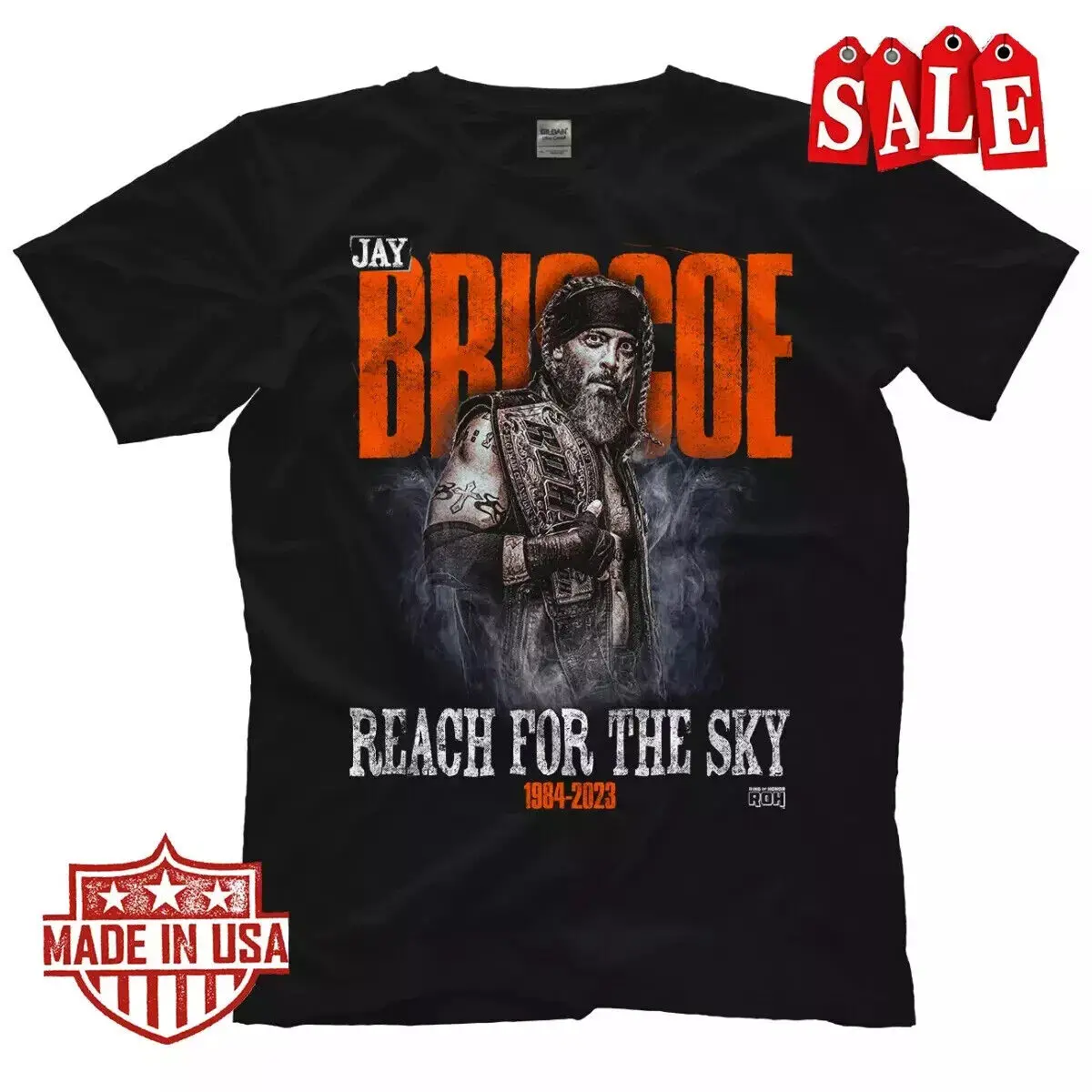 Jay Briscoe Reach F… - image