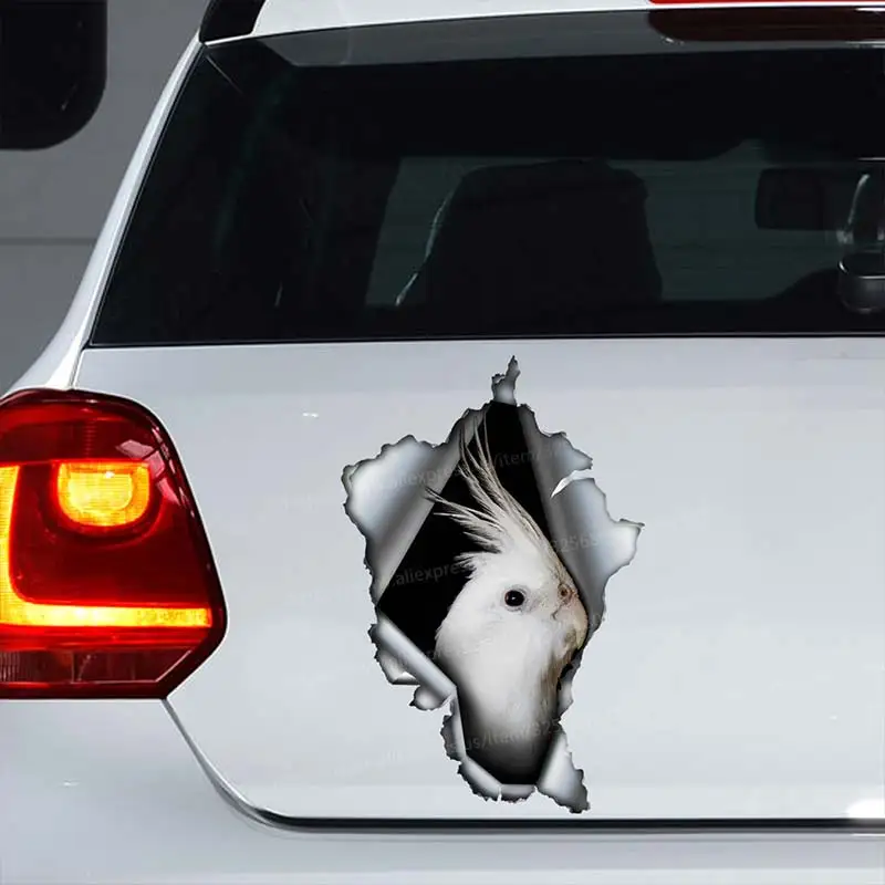 

Albino Cockatiel Car Sticker Waterproof Car Window Decorative Sticker For Car Accessories Decal SH08