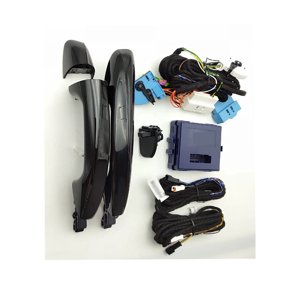 Keyless Go Access S… - image