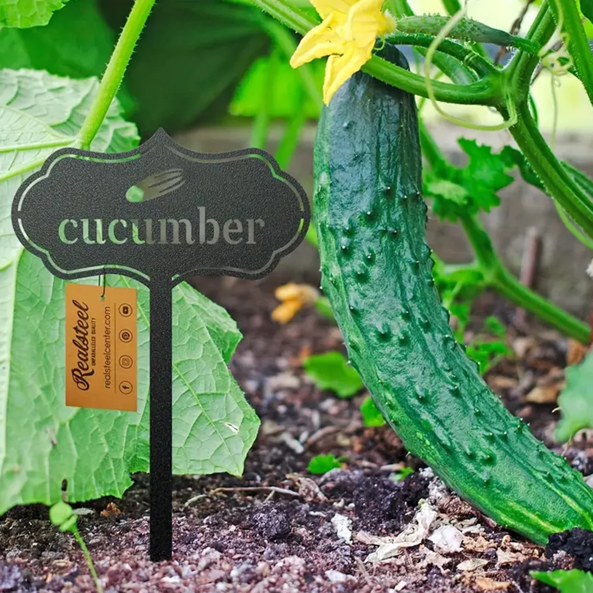 1pc-Garden Plant Marker-Durable Label for Indoor Outdoor Seed Planting, Fruit Vegetable Identification, and Decorative Ornament