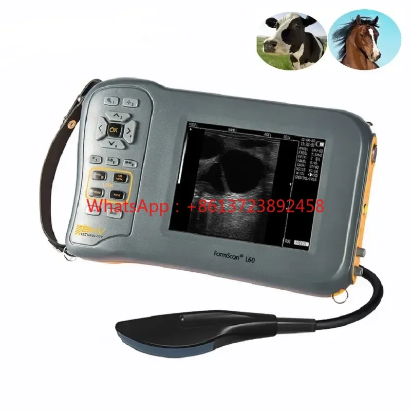 

5.8 Inches Handheld Farm Animal Diagnosis Equipment Black And White Veterinary Ultrasound Scanner Portable USG