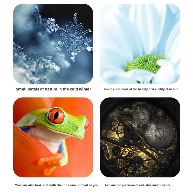 Anel macro, para micro câmera única Nikon Z6 Z7, anel de close-up com autofoco