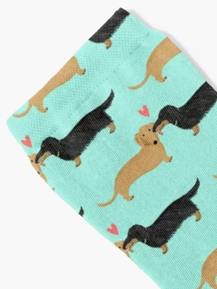 Dachshunds Love Socks sports stockings man summer Men's Socks Luxury Women's