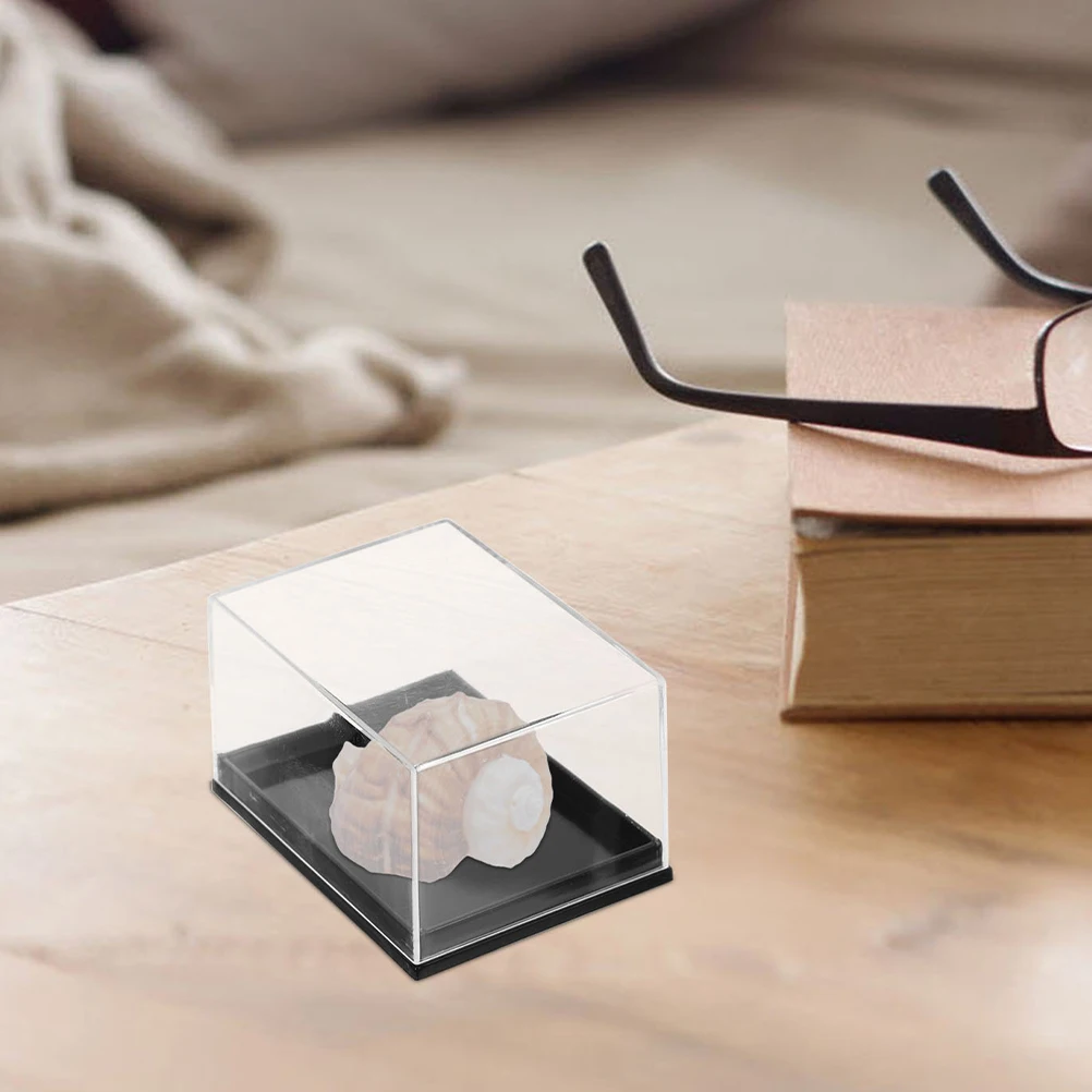 8 قطعة علبة عينة شفافة البلاستيك قذيفة جمع عينة تخزين المعدنية صدف صندوق عرض الأحجار الكريمة
