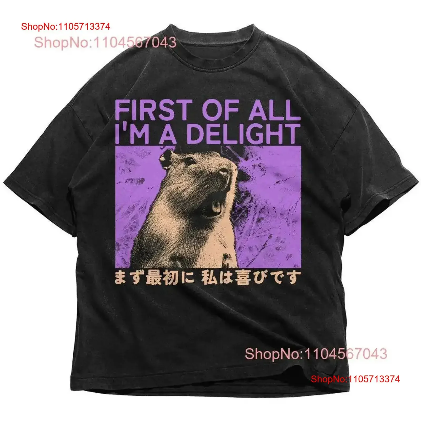 LittleSpring First Of All I'm A Delight Japanese T Shirt Tokyo Vintage Capybara Funny Retro vintage Washed graphic Comfortable
