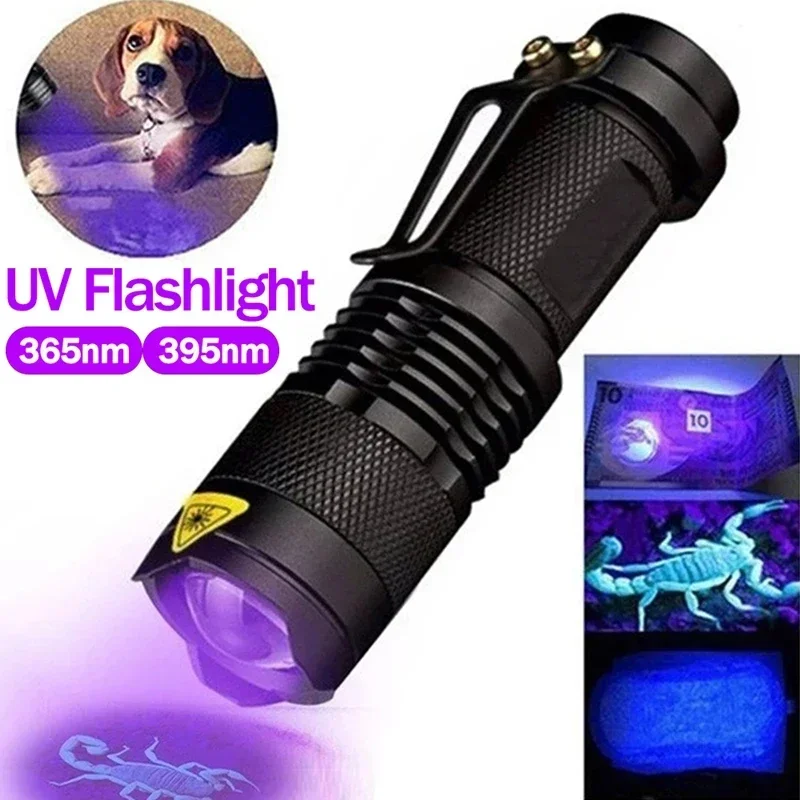 Lampe de poche UV LED rétractable 2 en 1, 3 modes, torches ultraviolettes, 395 nm, 365nm, détecteur de taches d'urine pour animaux de compagnie, lampes portables Blacklight