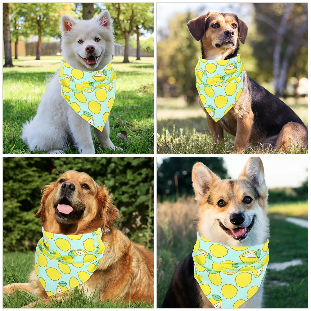 

2Pcs Bandanas Triangular Lightweight Polyester Breathable Pet Birthday Party Decor Fruit Pattern Pet Dog Scarf