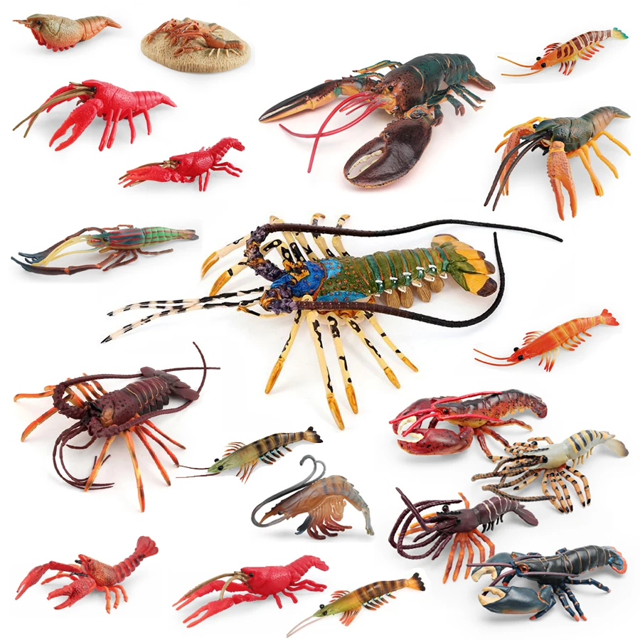 Modelo Realista de Animales Marinos: Camarón Tigre, Cangrejo, Mantis, Langosta de Boston, Figuras de Vida Marina, Colección de Juguetes, Regalo para Niños