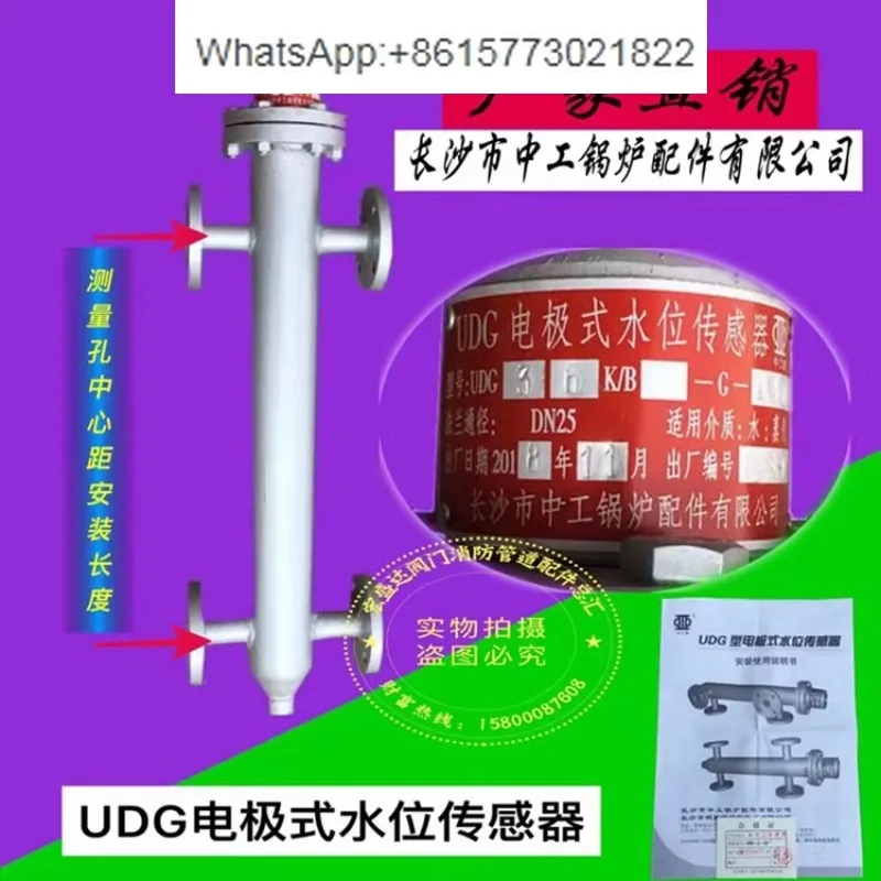 Changsha Zhonggong Boiler Accessories UDG36K/B-G Electrode Water Level Sensor L=300 350 440mm