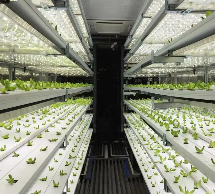 مصنع نباتات الخضروات، حاويات شحن الزراعة المائية، حاويات المائية، الدفيئة للمزارع