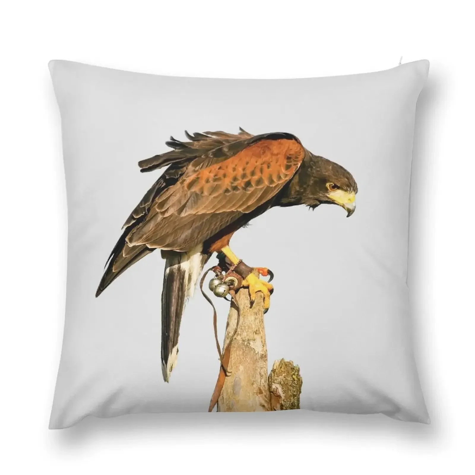 Harris Hawk on watch Throw Pillow sleeping pillows bed pillows Sofa Cushion Cover pillow