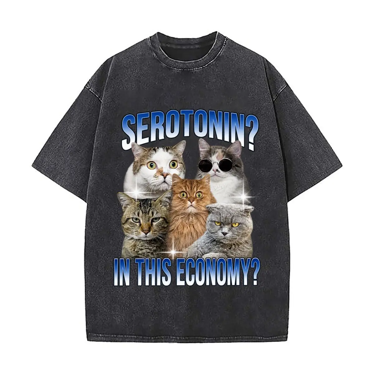 Serotonin In This Economy Cat Group Distressed Faded Baggy Streetwear Tops for Park Hangouts