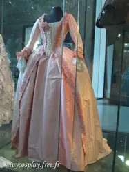 French Rococo Marie Antoinette Baroque Ball Gown Medieval Court Noble Princess Renaissance Costume Dress for Halloween Carnival