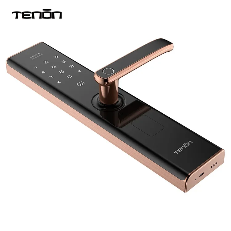 Tenon E5 Intelligent Tuya App Door Handle Digital Lock Electronic Password Key Door Smart Finger Print Door Lock