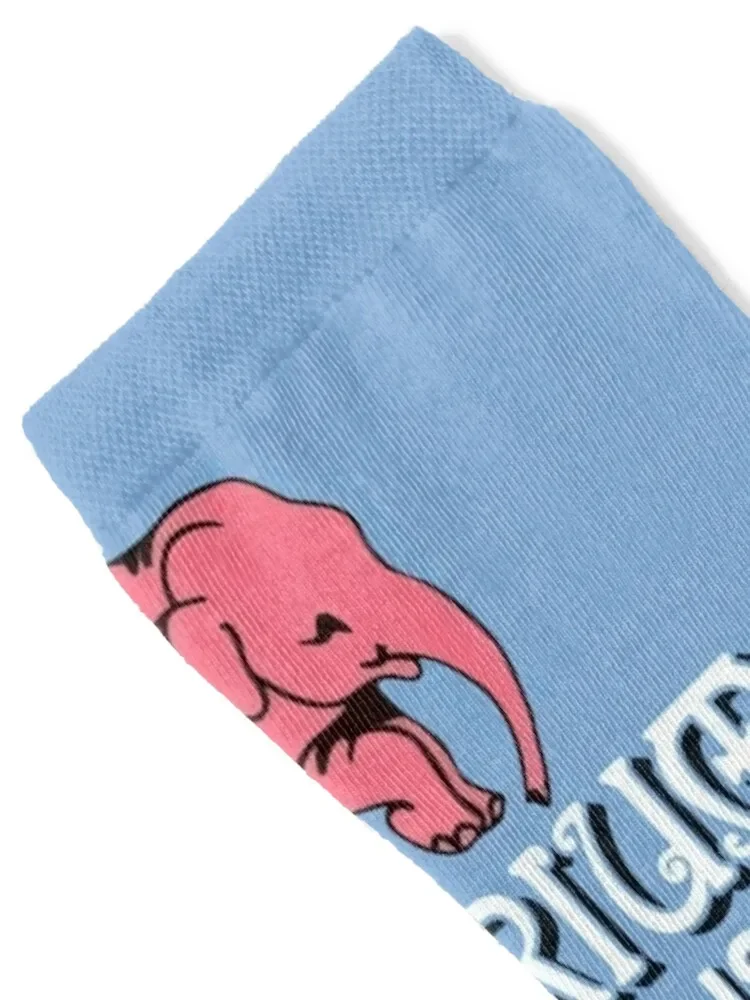 Beer Delirium Tremens logo Socks Crossfit Lots Antiskid soccer Socks Male Women's