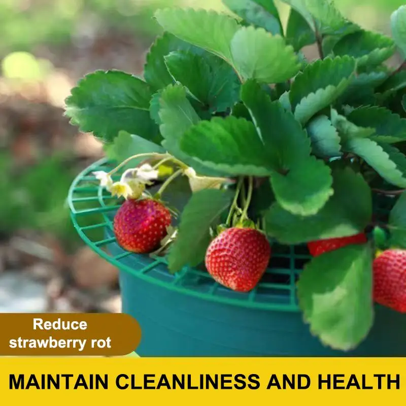 Round Plastic Strawberry Plant Support Stand with Legs, Elevate Berries to Keep Clean & Prevent Rot, Garden Planting Rack