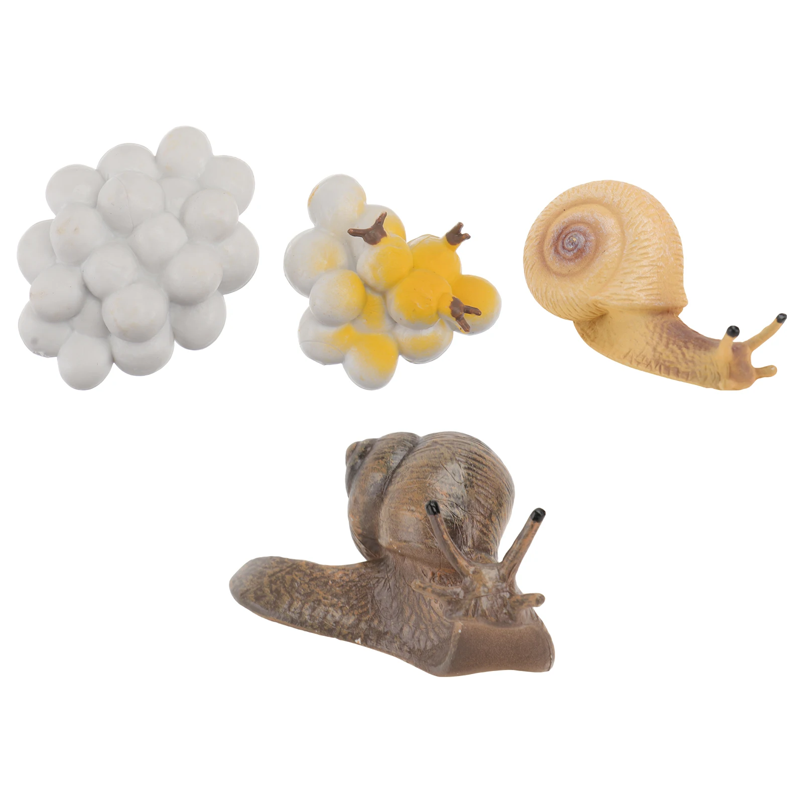 Figuras de ciclo de crecimiento de caracol para niños, juguetes seguros de plástico, habilidades cognitivas, adornos de decoración del hogar, ciclo de vida, 4 Uds.
