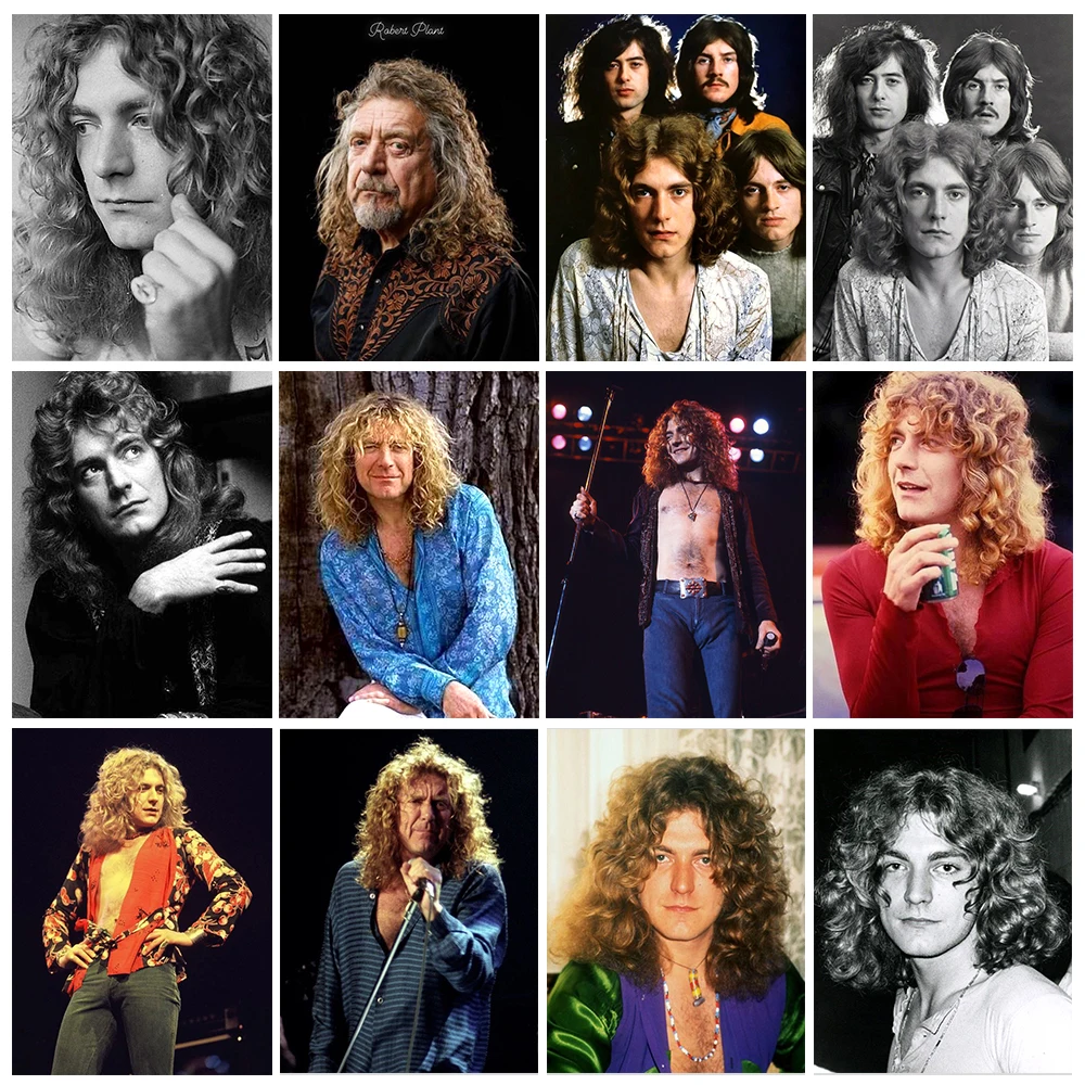 

Robert Plant 5D Diamond Painting Rock Singer Picture DIY Rhinestone Embroidery Modern Fashion Home Decor Hand Gift