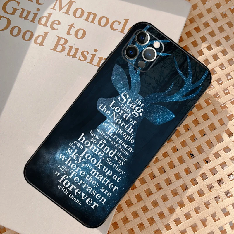 Throne Of Glass Case For iPhone 16 12 11 13 14 15 Pro Max Mini XR X XS MAX 5S Plus Cover