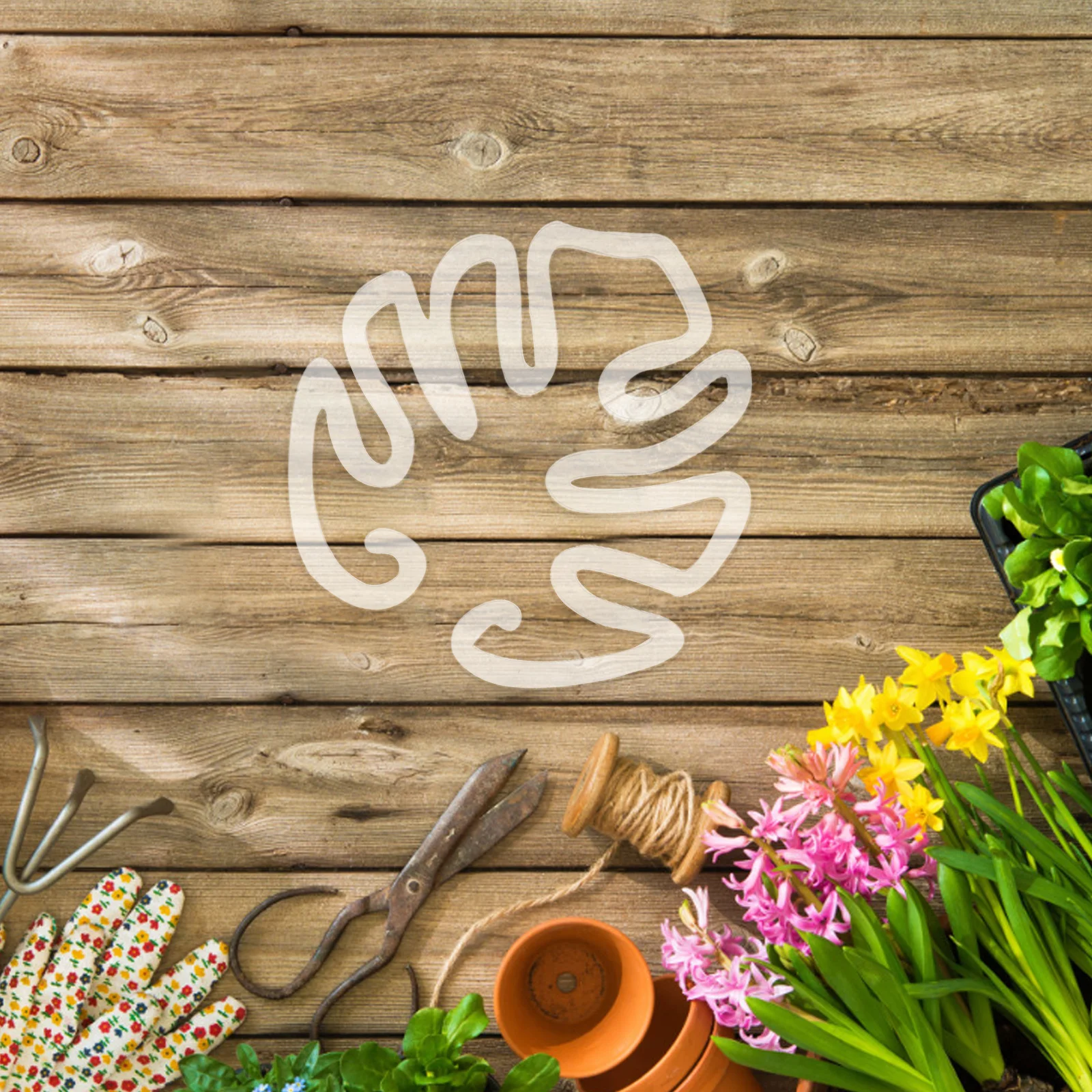 

2Pcs Climbing Plant Stem Supports Transparent Rings Reusable Flower Stakes Trellis Holders for Indoor Outdoor Garden Plant