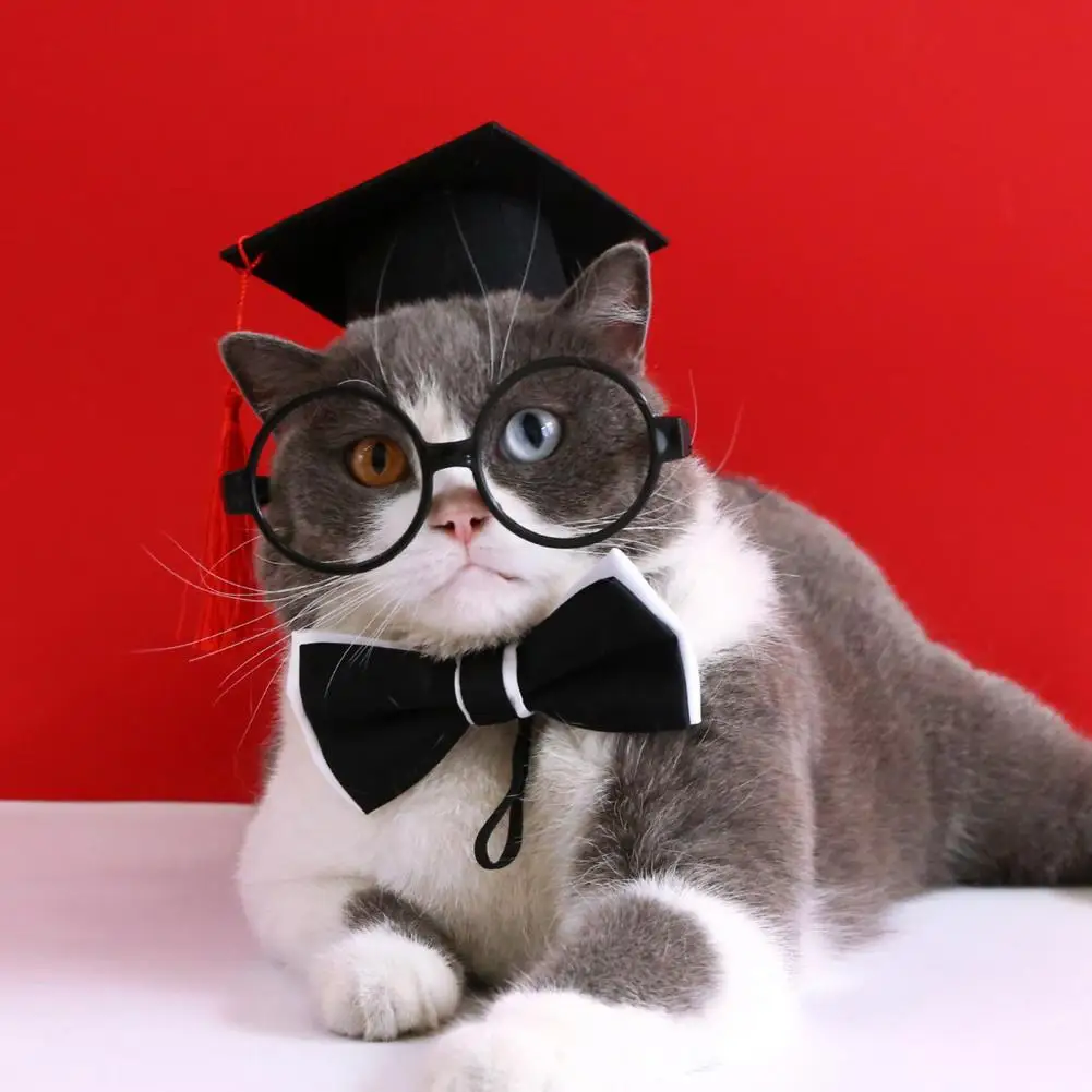1 Set Pretty Cat Graduation Hat Adorable Creative Dog Graduation Hat Pet Cats Dogs Graduation Hat Collar Glasses Set
