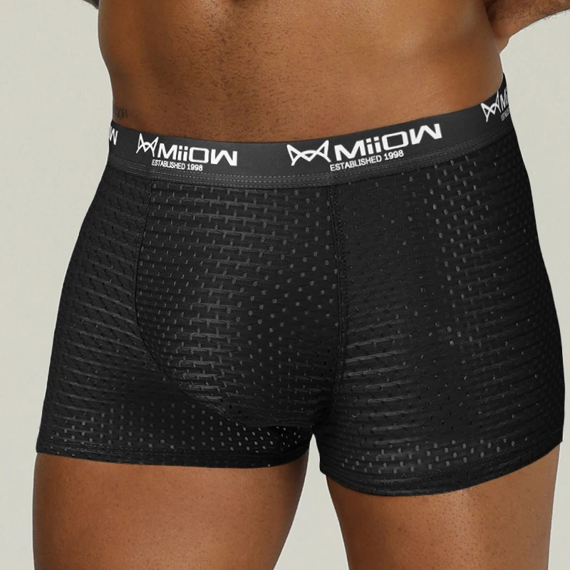 MiiOW Sexy Men Boxer Shorts Underwear Mesh Breathable Ice Silk Male Panties Lingerie Underpants Boxershorts Plus Size L-4XL 2022