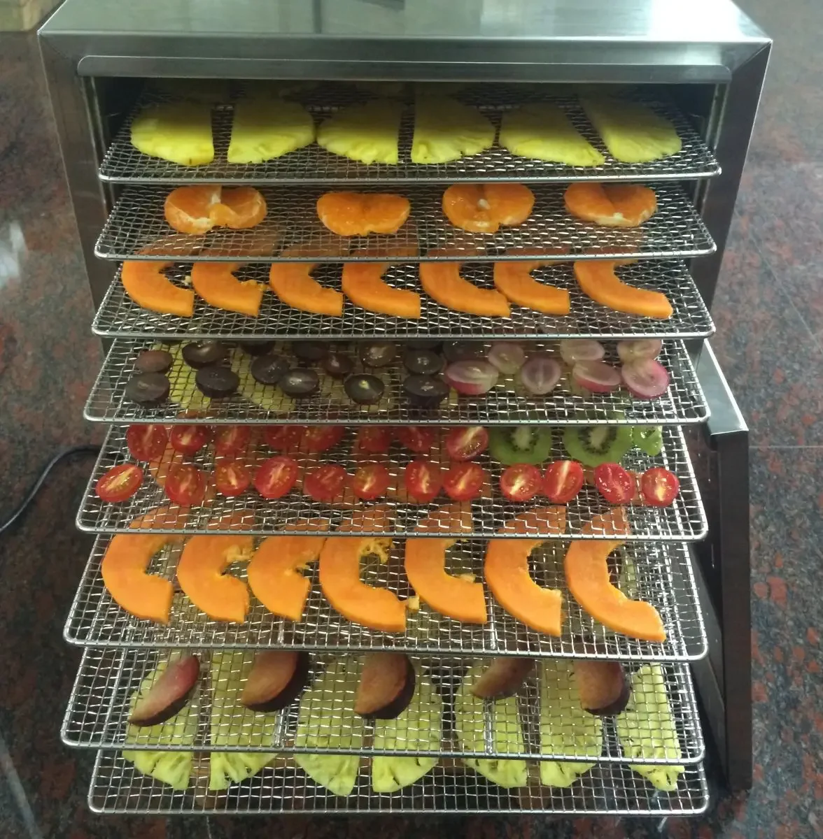 10 Trays Carrot Apple Fruit Dehydrator Machine