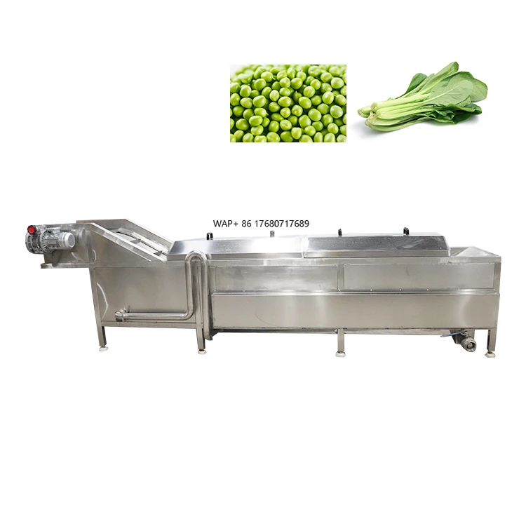 

Commercial Steam Gas Electric Continuous Fruit Vegetable Meat Cooking Blancher Blanching Machine