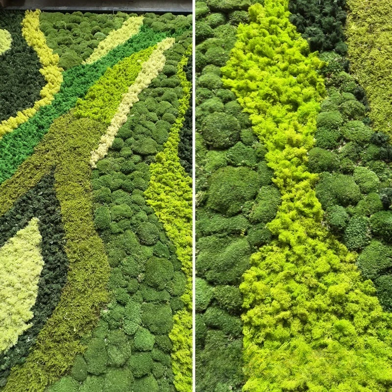 Simulation plant immortal flower, indoor landscape decoration, wall-mounted decoration green plant wall