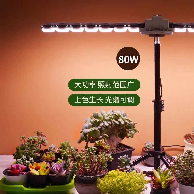 Sansi led outdoor waterproof plant growth light coloring imitation sunshine imitation sun, succulent full spectrum filling light