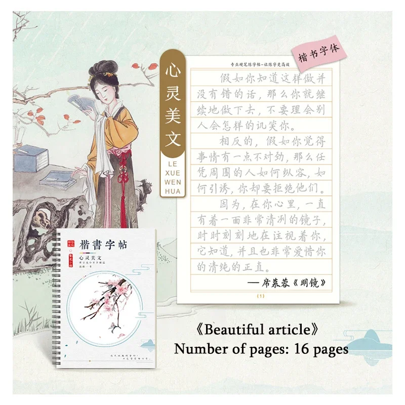 6 pcs 3D Chinese Characters Reusable Groove Calligraphy Copybook Erasable pen Learn hanzi Adults Art writing books Send gifts