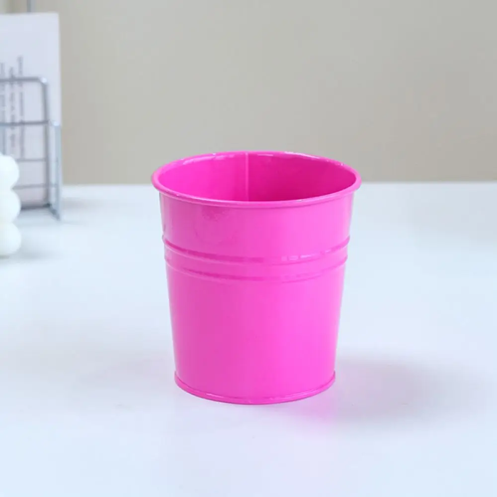 Modern Metal Flower Pot Small Iron Succulent Planter Desktop Decorative Ornament Artistic Vase For Home Office Decor