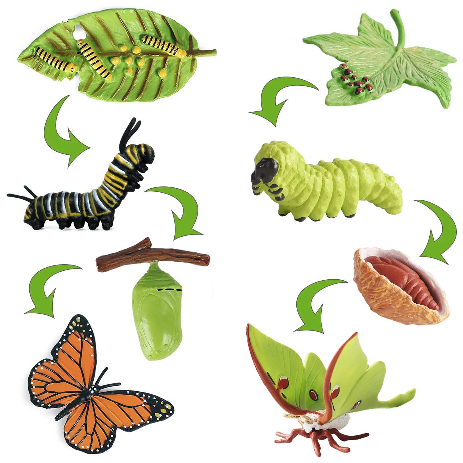 

8PCS Monarch Butterflies Life Cycle Toy Figurines for Kids with Actias Ningpoana Figure - Caterpillar to Butterfly Kit Growth Mo