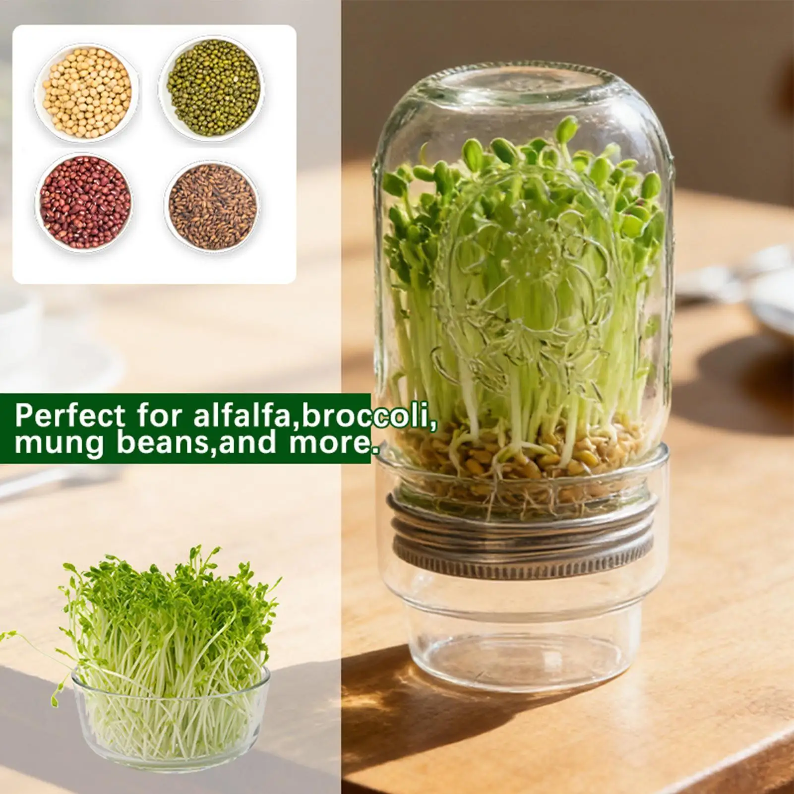 Sprouting Jar Kit Mung Bean Sprouts Growing Broccoli Sprouts Growing Kit for Gardeners Beginners Homesteaders Kitchen Countertop