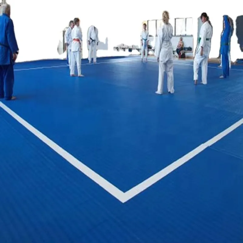 Martial Arts Roll Mat for Gymnastics, Judo, Taekwondo, Sanda and Wrestling, Durable and Versatile for All Training, High Quality