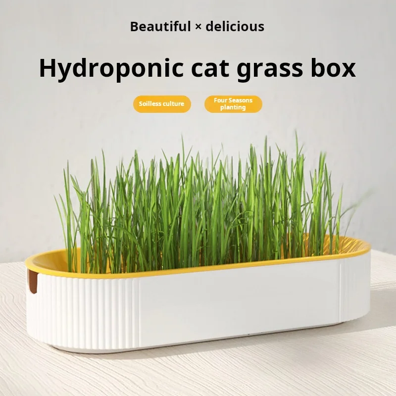 Easy Growth Hydroponic Cat Grass Box Dish Growing Pot Cat Treats Catnip Hydroponic Soilless Planting Cat Grass Set Without Seeds
