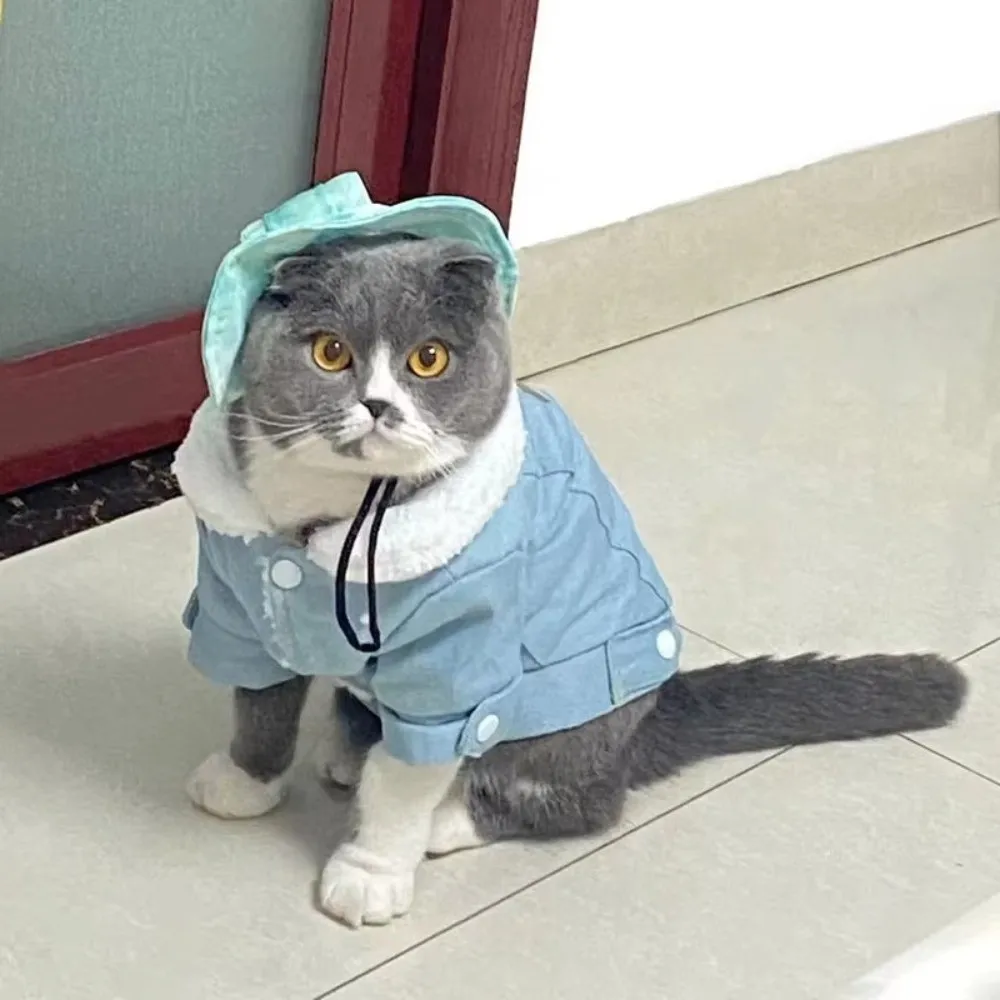 Fashion Winter Dog Warm Clothes Lining Windproof Dog Vest Coat Thickened Cute Dog Hiking Jacket for Small Medium Dog
