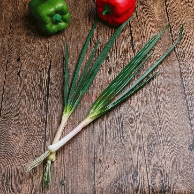 1PCS Green Onions Lifelike Scallions Simulation Vegetable Model Photography Props for Home Kitchen Party Shop Diplay Decoration