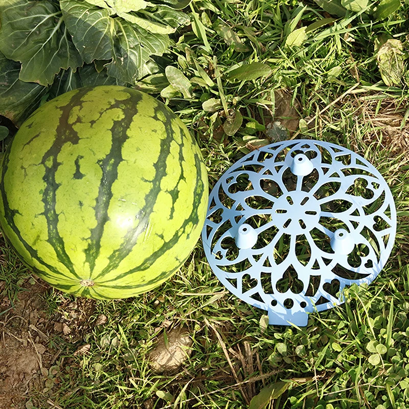 

1 шт., подставка для фруктов