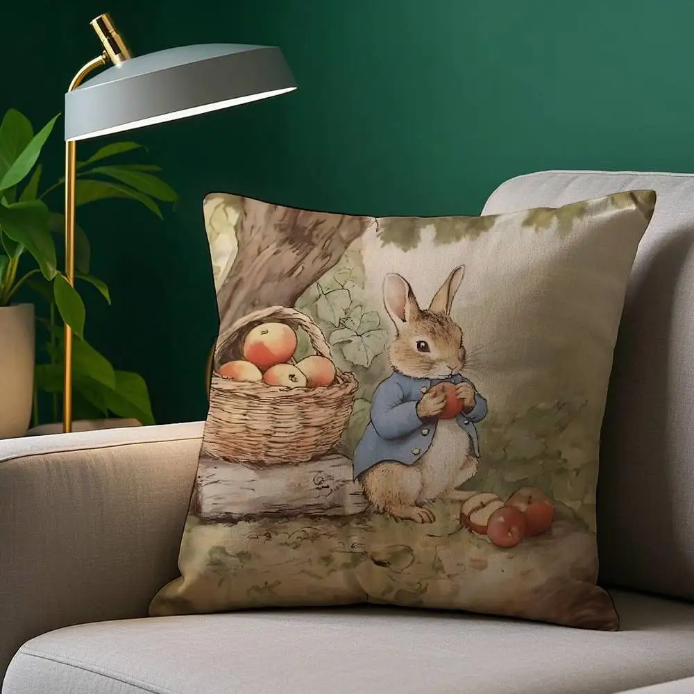 Cartoon P-Peters Rabbit Pillow Case Cozy Plush Pillow Cover Double Side Printed – Home Gift for Bedroom Decor