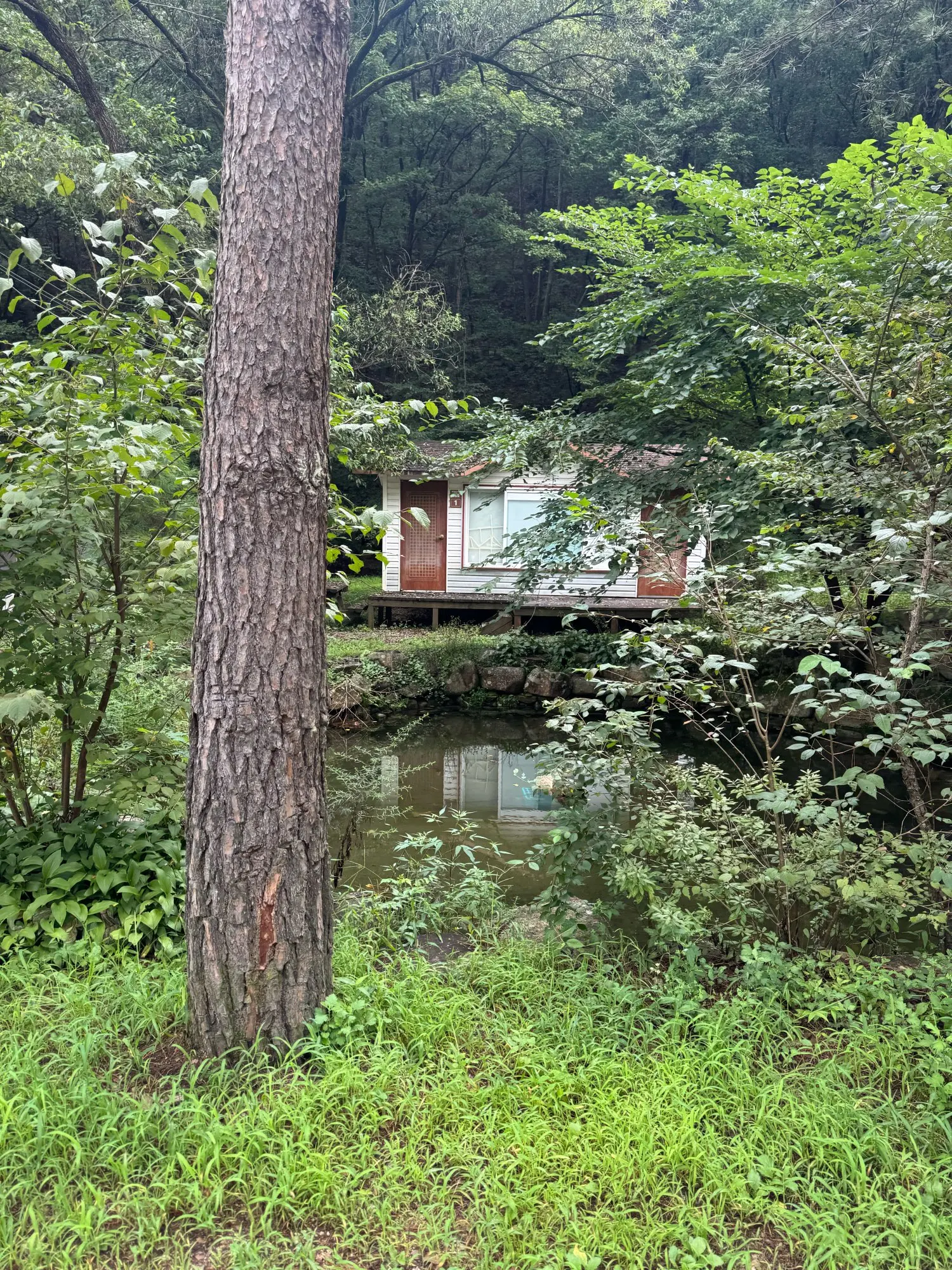 실물 포토 리뷰