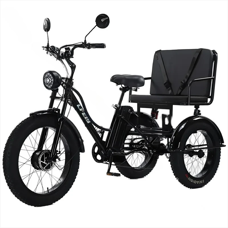 Detachable Battery Inflatable Electric Adult Tricycle with Passenger Seat for 2 People, 750W 48V Electric Bicycle