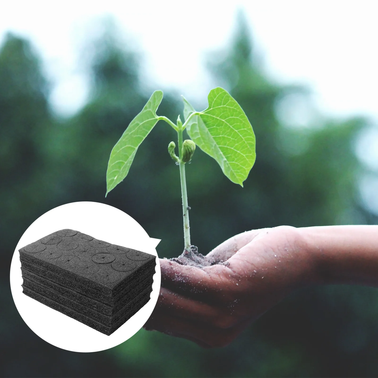 

75Pcs Seedling Planting Gardening Sponges Moisturized Soilless Hydroponic Tool Fast Vegetable Garden Greenhouse Hydroponic