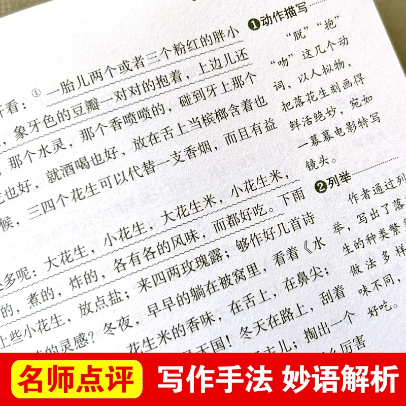 الأعمال الكلاسيكية للاو شي، الجمل شيانغزي، المقهى، أجيال أربعة تحت سقف واحد، أدب المراعي