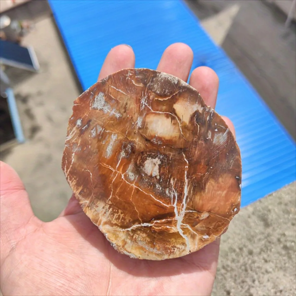 شريحة كريستال من الخشب الطبيعي، شريحة خشبية منقوشة مع أنماط حلقة شجرة لديكور المنزل، عينة طاقة التأريض للشفاء