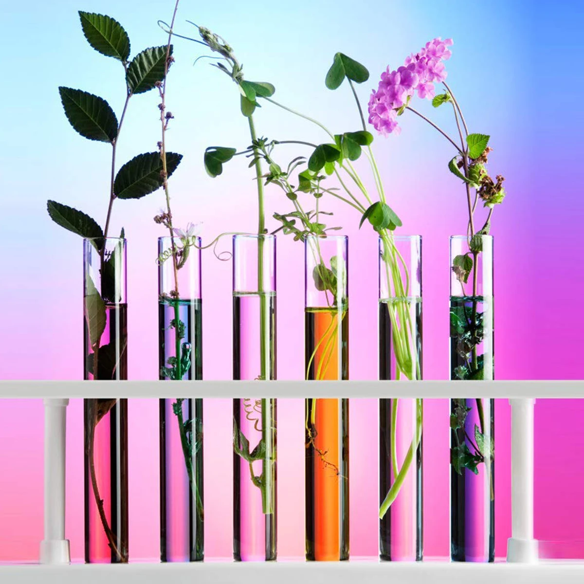 

10pcs Glass Test Tubes 25X200Mm Heat Resistant Scientific Containers Cork Stoppers Lab Bottles Storage Vase For Dry Items