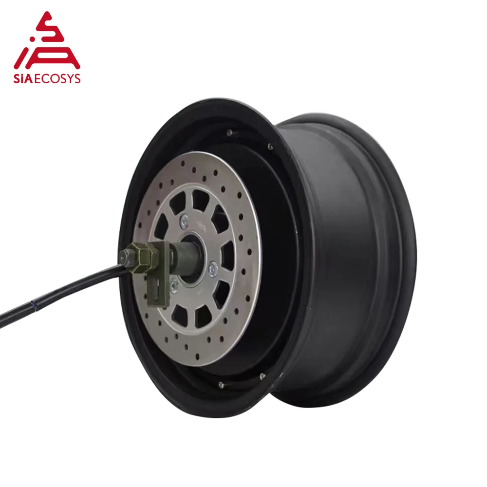 Powerful New Version QS Motor 5KW 260 V4 Brushless DC Single Shaft E-Car In-Wheel Hub Motor