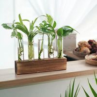 Wooden Stand Hydroponic Vase Transparent Test Tube Shape Hydroponic Plants Container Creativity Minimalist Flower Vase