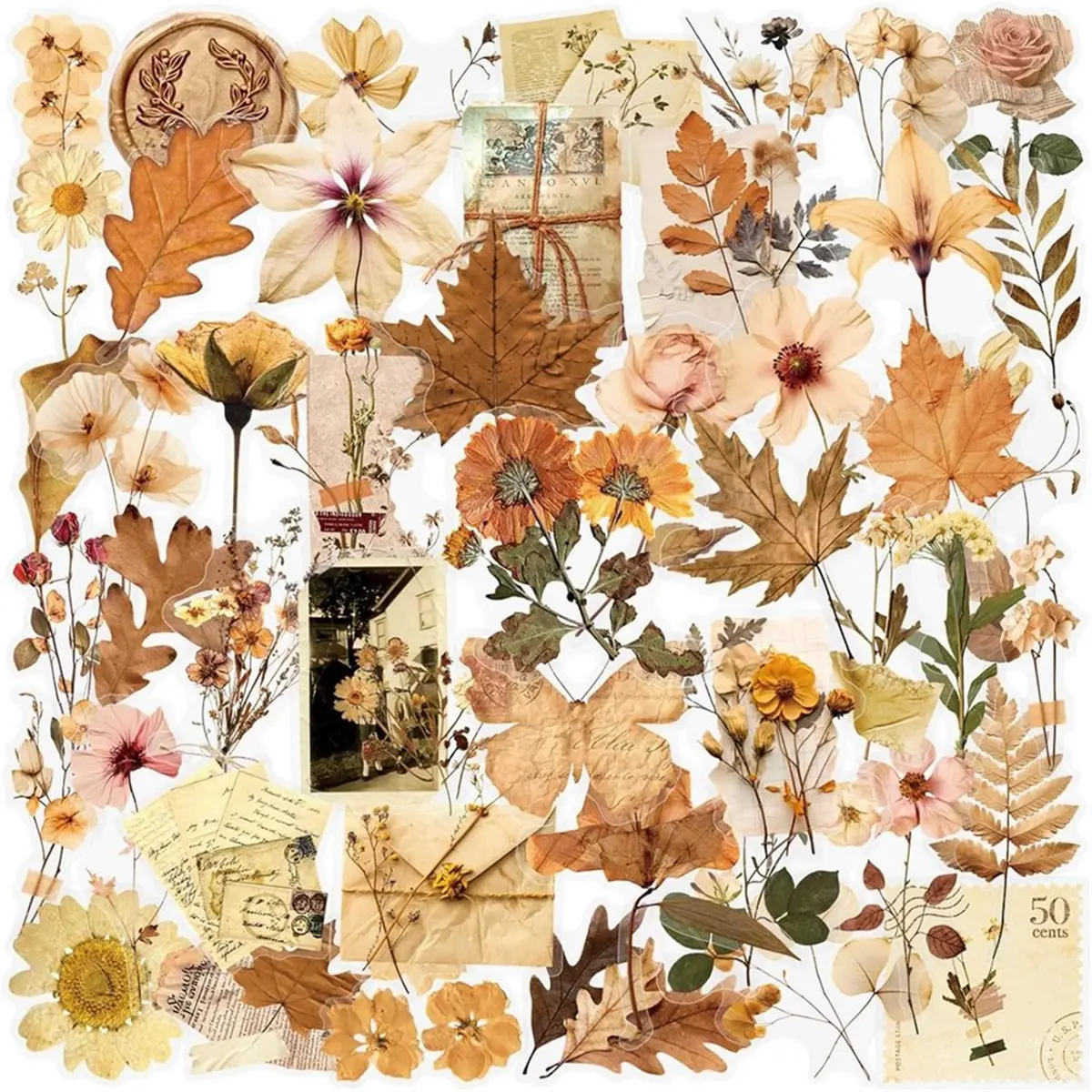 Best of 2026 50Pcs Transparent Scrapbook Stickers Pack, Vintage Aesthetic Flowers Stickers for Scrapbook Journal