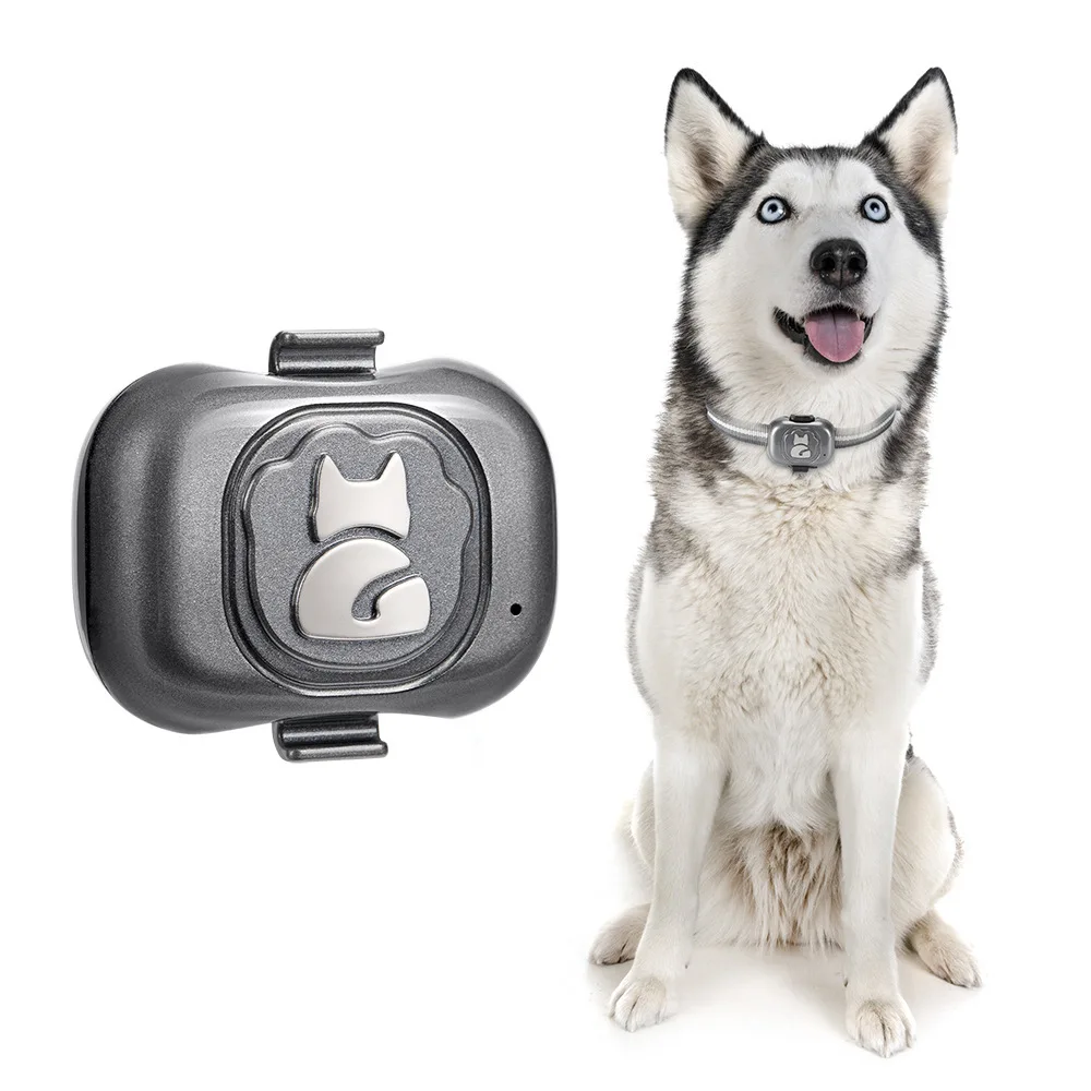 G16 Back pet GPS locator intelligent collar IP67 waterproof dog and cat anti loss device